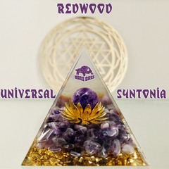 05.Heartopia - Redwood