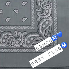 Gr3y FLAG Ⓜ️✌🏾☝🏾