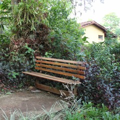 29.11.2022 - Livro BOA NOVA - Lição JOANA DE CUSA