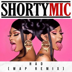 Shorty Mic - HAD - WAP Remix