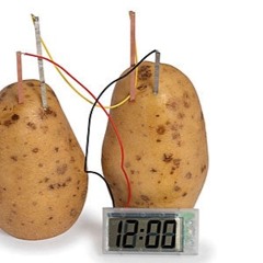 potato_clock999%Master
