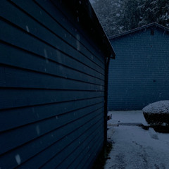 7 AM Adult Swim freestyle