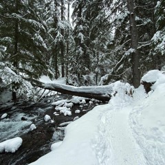 Tilixam Talk: Dean Rhodes