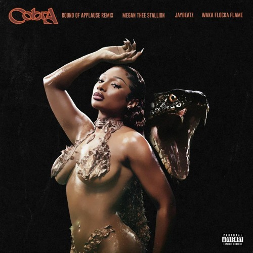 Megan Thee Stallion & Waka Flocka Flame - Cobra Clap (A JAYBeatz Mashup) #HVLM