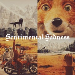 Sentimental Sadness (Ft.Function X)