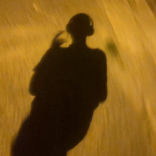 StealingFromPoundLand