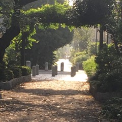 夏休み