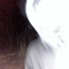 Play it back! w @D.roy808