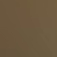 Copy of tracysfuneral