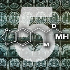 MDMH VOL. 5