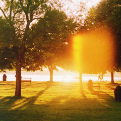 a long hot summer