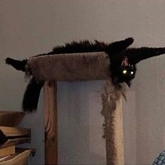 TRENCHCOAT MAFIA (prod. TERINME)