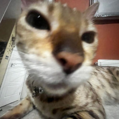 bryant barnes - want you all the time (zeiki bootleg)