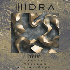 Hidra (ofc), Aayny, Varsoom, Adrian Degar - TRUE (Radio Edit)