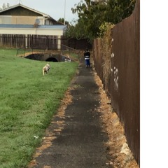 Wgs Freestyle Dubb.i.G