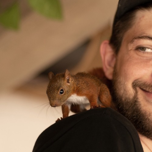 Ein Gruß an die Hörnchen