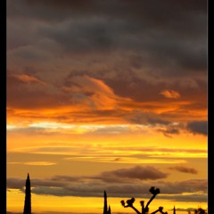 After Dawn ft.Yl The Giant prod.BuccNasty