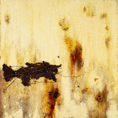 Hurt (Nine Inch Nails - Cover)