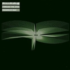 FullCycle Presents Through The Eyes Krust, Mixed By Krust