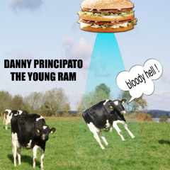 THE YOUNG RAM - (u5aint RAMset)