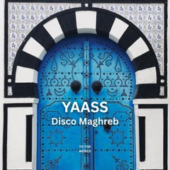 Dj SNAKE - Disco maghreb (YAASS Remix)