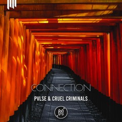 PVLSE x Cruel Criminals - Connection (Festival Mix)
