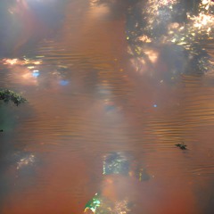 House (thisismyhouse)