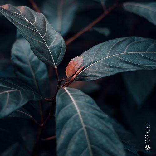 jüle. - self assessment.