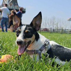 Tokage Ozu -04-04.m4a