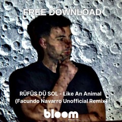 FREE DOWNLOAD: RÜFÜS DÜ SOL - Like An Animal (Facundo Navarro Unofficial Remix)