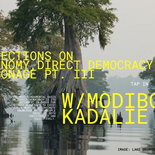 AfricaNow! Jan. 22, 2025 Reflections on Autonomy, Direct Democ. & Marronage w Modibo Kadalie Pt. III
