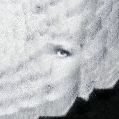 POLINA FEELS LIKE A FLY