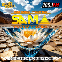 10-25-2025  Party Zone EP 295 S.A.M.A.