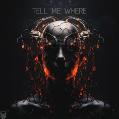 Tomy Wahl, Bilgehan Unver - Tell Me Where EP [SAPIENT ROBOTS]