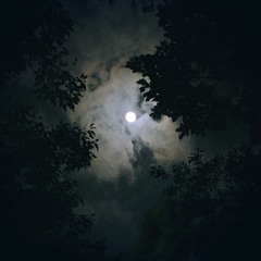 Hope In The Dark Forest