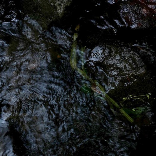 Perila – This Story Doesn't Make Any Sense