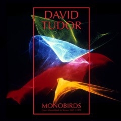monobirds-3min