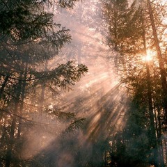 salem al ruwaili. surah al baqarah (284-286)