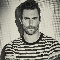 Maroon 5 - Makes Me Wonder Remix