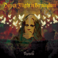 Doves Flight in Birmingham