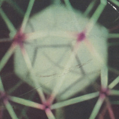Memory Root