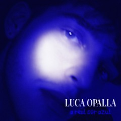 Luca Opalla - a real cor azul.