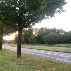 Anyone else but you - Moldy peaches (MJMB)