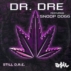 DR. DRE Feat Snoop Dog - Still D.R.E. (ASIL House Rework)