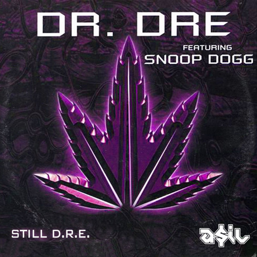 DR. DRE Feat Snoop Dog - Still D.R.E. (ASIL House Rework)