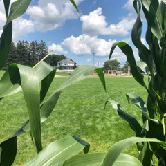 Field of dreams - Crispy (Freestyle)