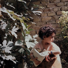 ‎⁨شو بيبقى؟⁩