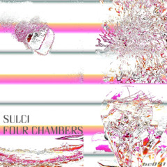 WL//WH Premiere: SULCI - "Joy Meets Girl" off "Four Chambers" LP [BRICOLAGE]
