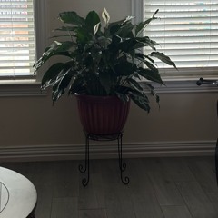 Fotos:Photos [rreno]