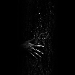 Dina - Extrospection